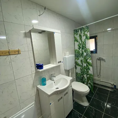 Bed & Breakfast Forest Camp Despotovac