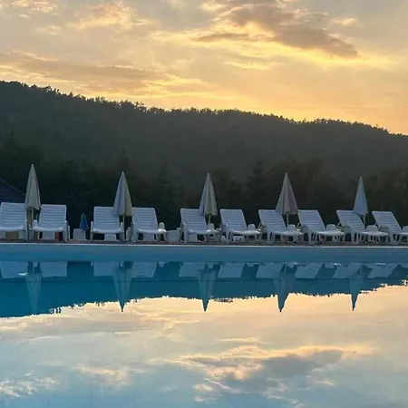 Forest Camp Bed & Breakfast Despotovac