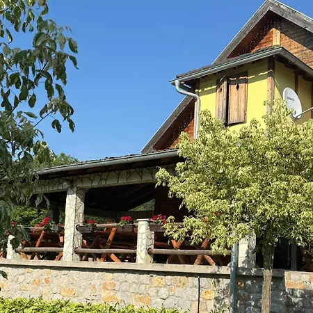 Forest Camp * Despotovac