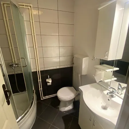Forest Camp Bed & Breakfast Despotovac