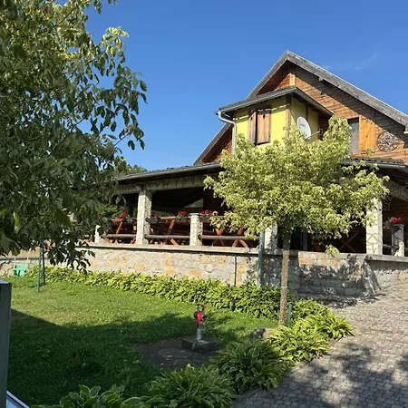 Forest Camp * Despotovac