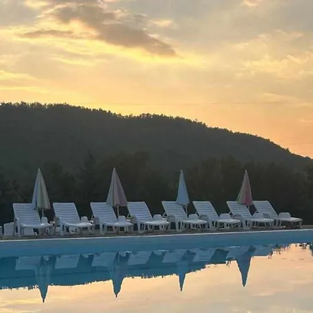 Forest Camp Despotovac