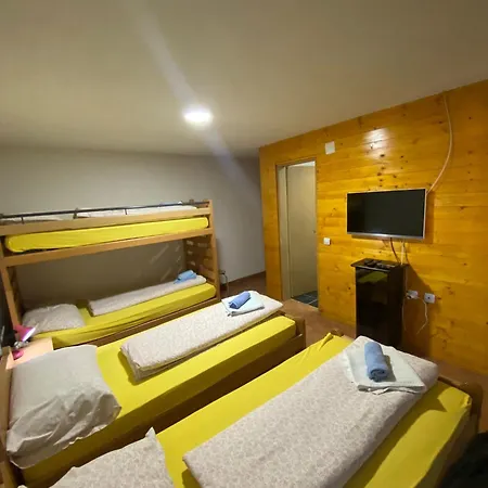 Forest Camp Bed & Breakfast *