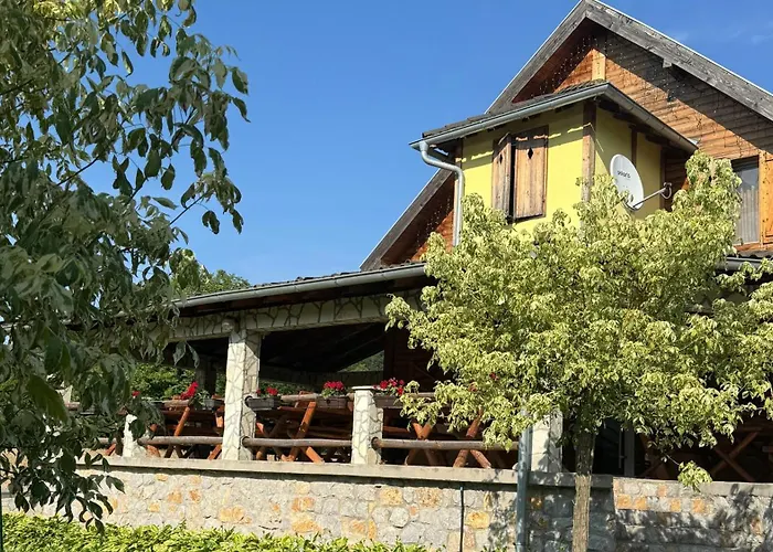 Forest Camp * デスポトヴァツ