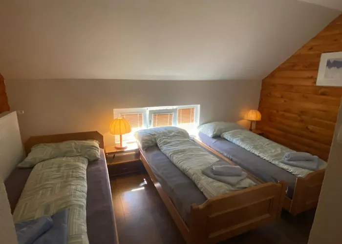 Forest Camp デスポトヴァツ